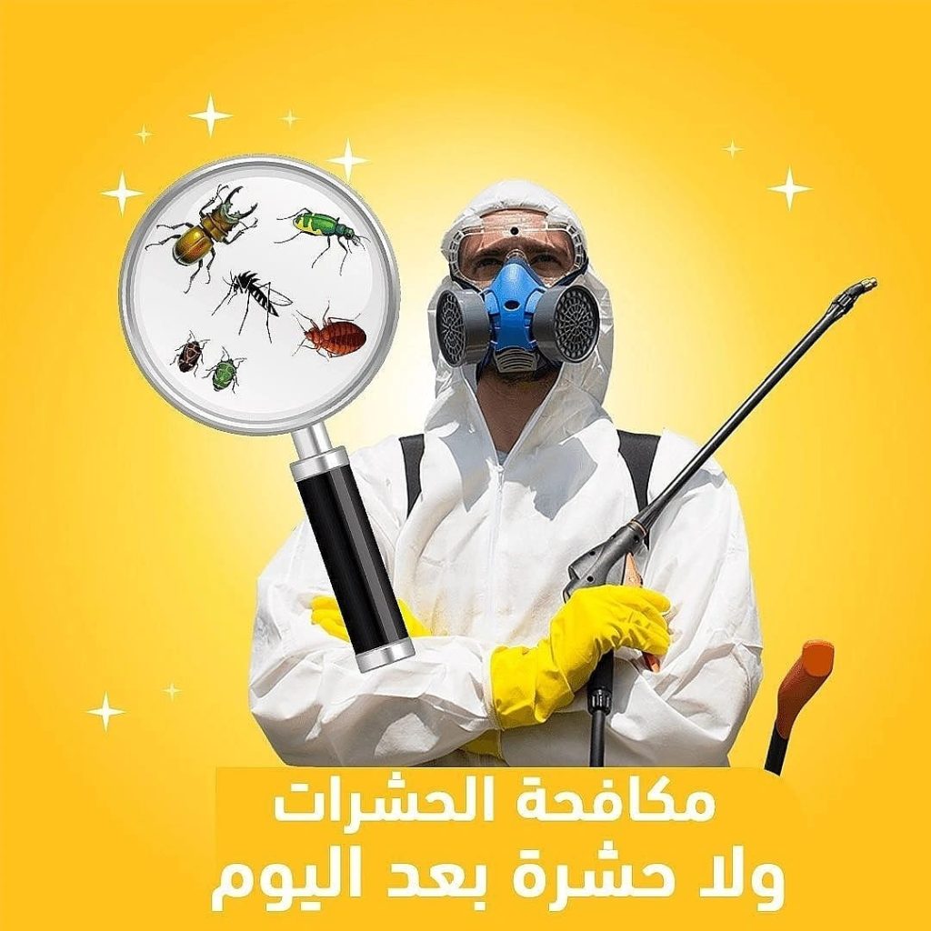 الفئة